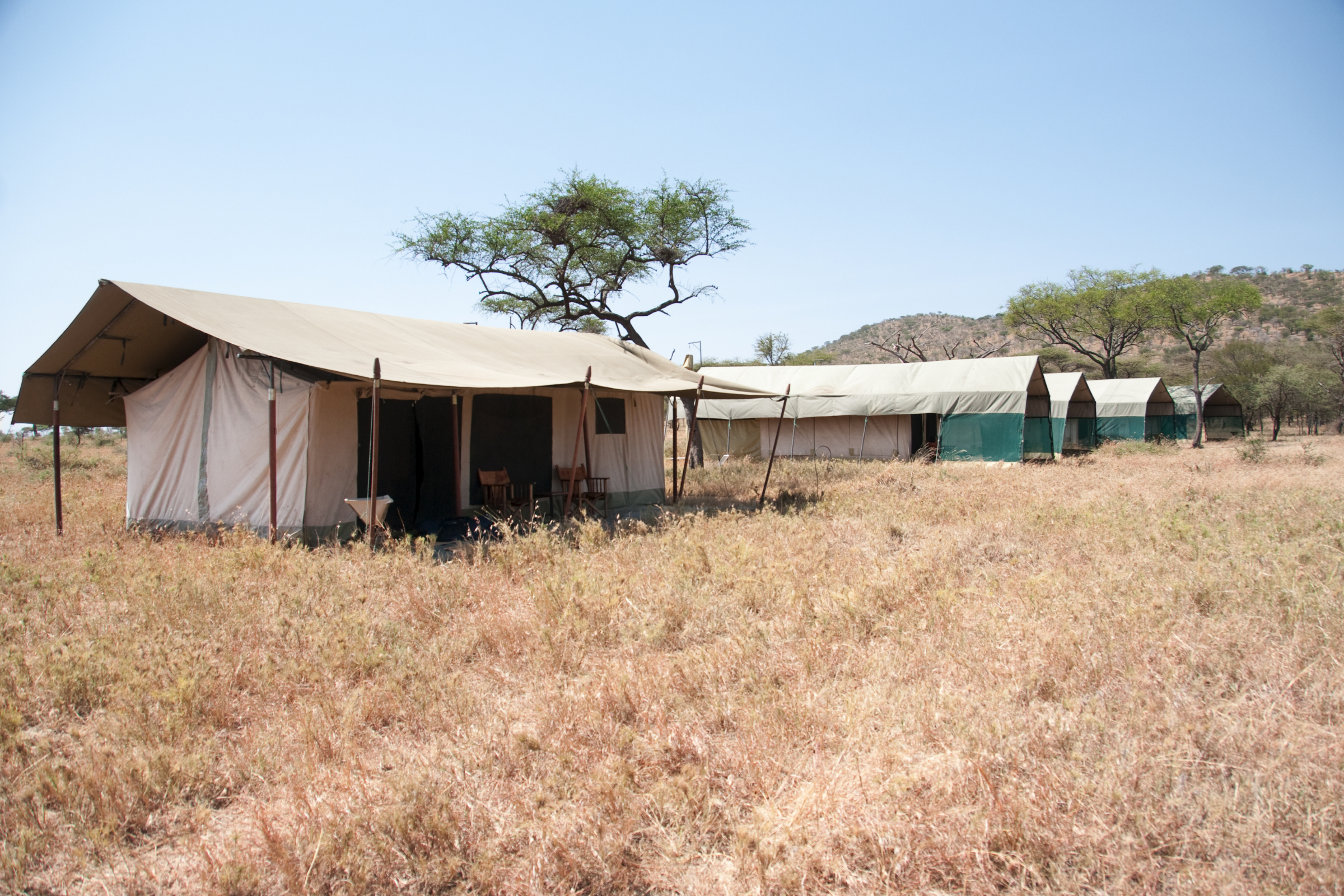 kibo camp (3).webp